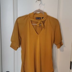 NWOT Silky blouse